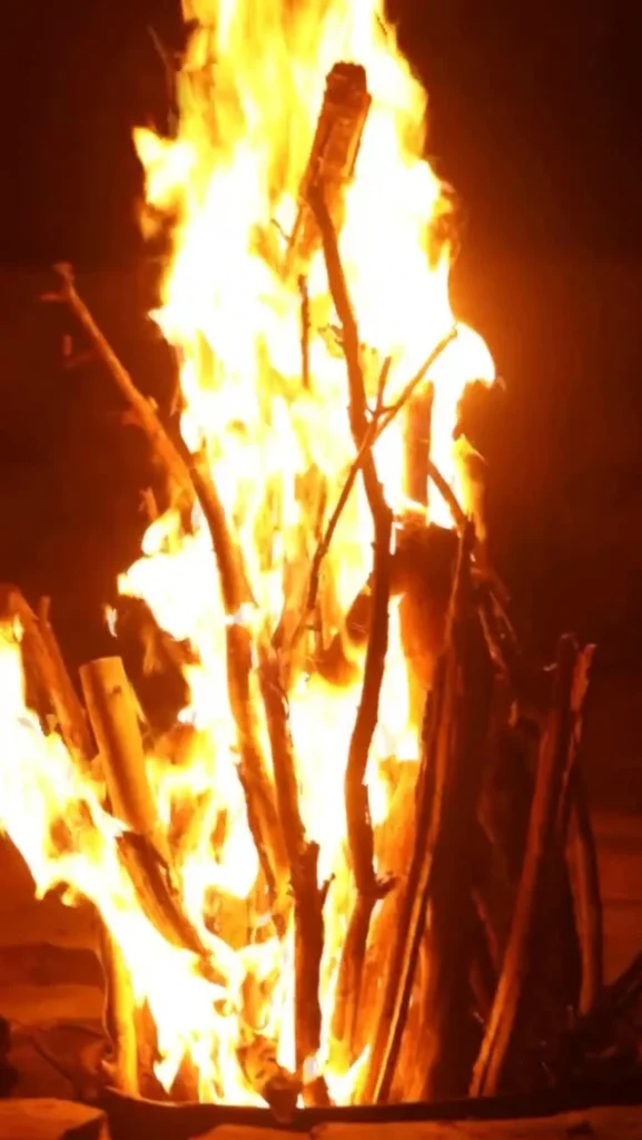 573184516 775478832139338 3141817519824093739 nfull