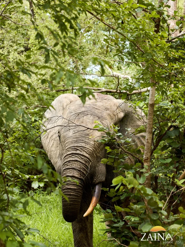 605858691 18547878604049330 1064260742692097167 nfull