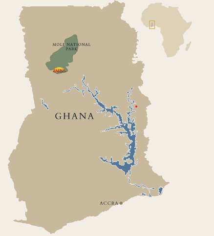 screenshot 2025 12 26 065934